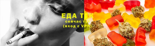 гидра Богданович