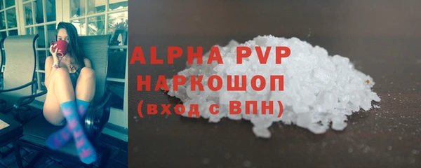 гидра Богданович