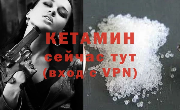 гидра Богданович