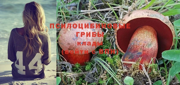 метадон Богородицк
